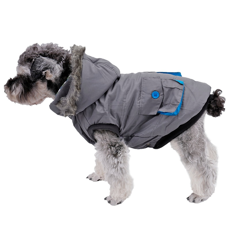 Vestiti per cani, cappotto imbottito in cotone, giacca imbottita